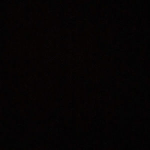 Meet your Posher, Delaney